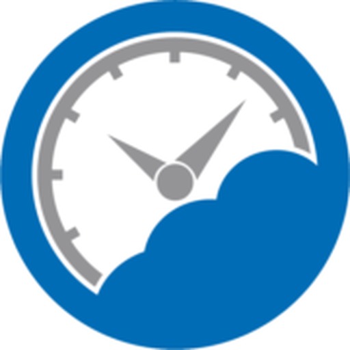 nettime solutions
