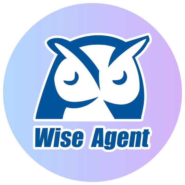 Wise Agent